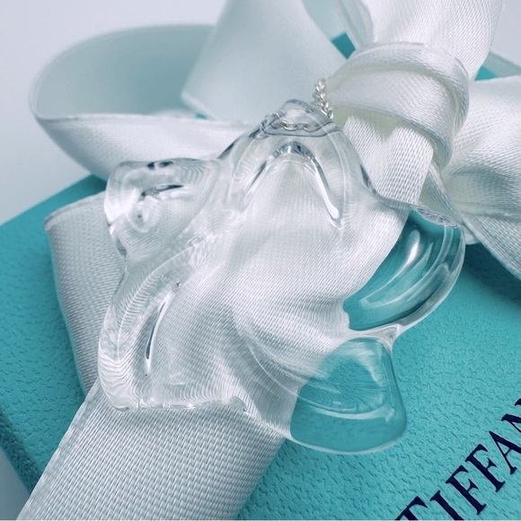 RARE Tiffany & Co. Elsa Peretti Rock Crystal Large Star 30” Silver Necklace - Picture 6 of 10